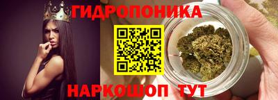 прущие грибы Пушкино